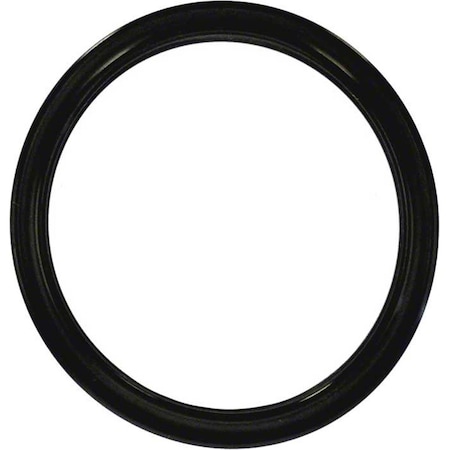Whole-In-One The Swimquip O-Ring WH1523124